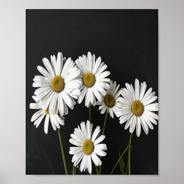 Elegant Botanical Still Life of Radiant White Oxey Poster (Front)