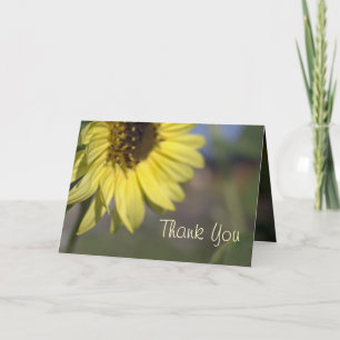 Elegant, bright summer yellow sunflower thank you