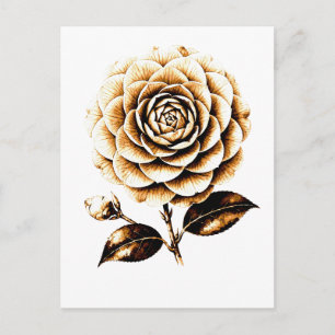 Elegant Bronze Rose Floral Illustration Wood Art Postcard