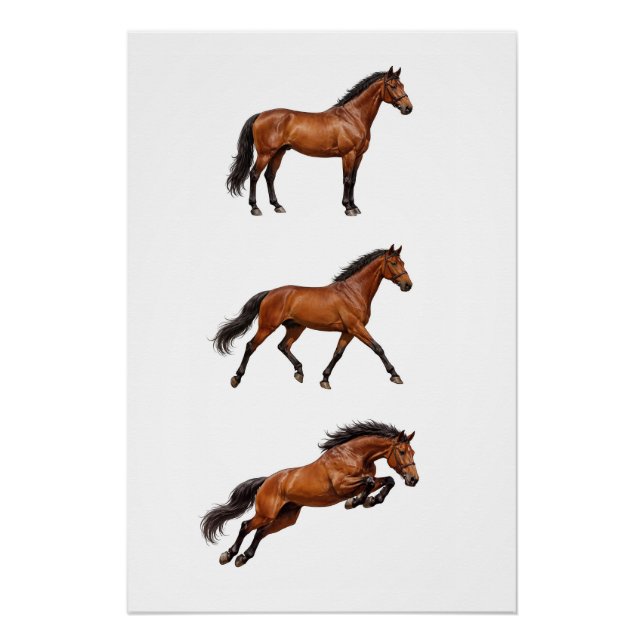 Elegant Brown Horse Wall Art Poster (Front)