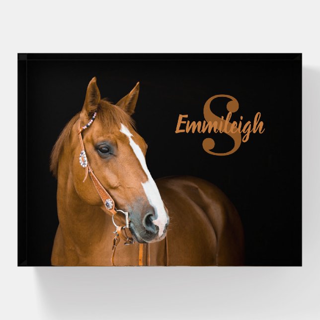 Elegant Brown Quarter Horse Black Monogram Name Paperweight (Front)