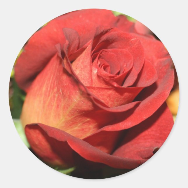 ELEGANT BURNT RED ROSE ENVELOPE SEAL STICKERS (Front)