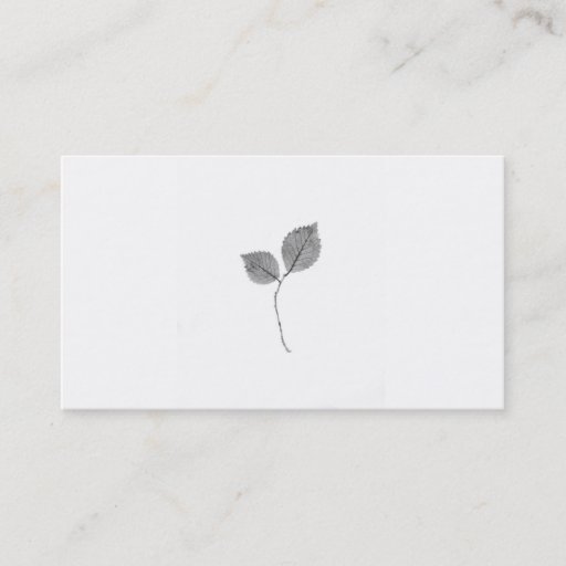 Customizable Elegant Business Card