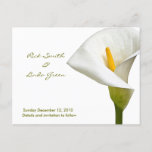 Elegant Cala Lily - Save the Date white Announcement Postcard<br><div class="desc">Elegant Lily Photo Art. Here you will find matching designs that can be customized with your own text, names, initials and/or dates. Invitations, Thank you cards, Save the Date Cards. Placecards, magnets, stickers, shower totes, keychains and US postage of various denominations. Please be sure to change or remove any template...</div>