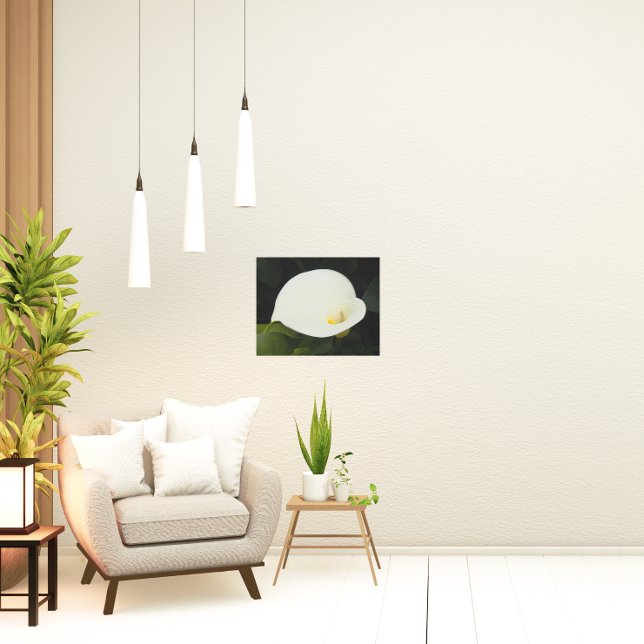 Elegant Calla Lily Bloom Floral Metal Print (In Situ)