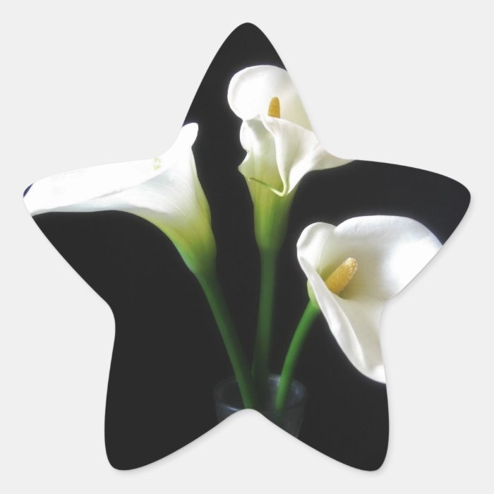 Elegant Calla Lily Flowers 10 Star Stickers