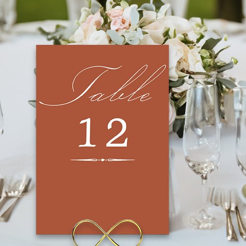 Elegant Calligraphy Terracotta Wedding Table Number