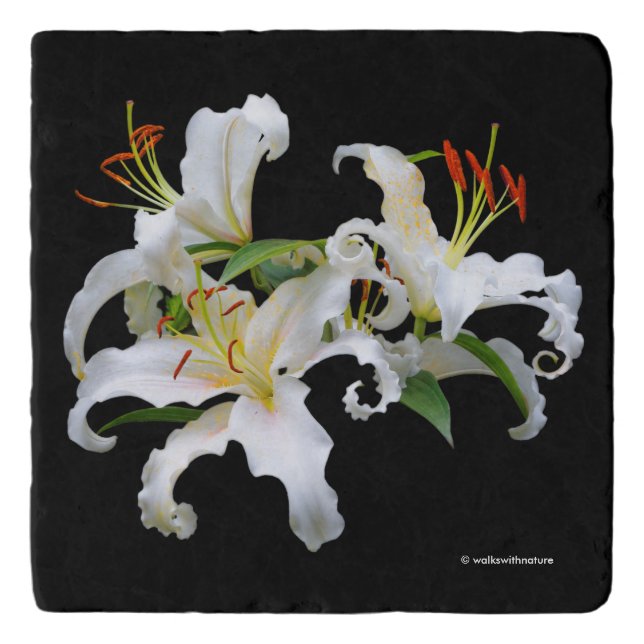 Elegant Casablanca White Oriental Lilies Trivet (Front)