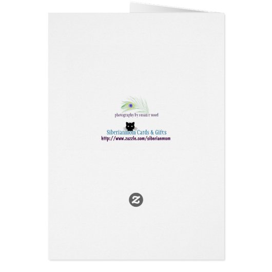 Elegant Cat Blank Cards (Back)