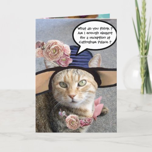 ELEGANT CAT WITH BIG DIVA HATPINK ROSES Birthday Card