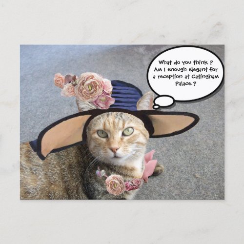 ELEGANT CAT WITH BIG DIVA HATPINK ROSES Valentine Holiday Postcard