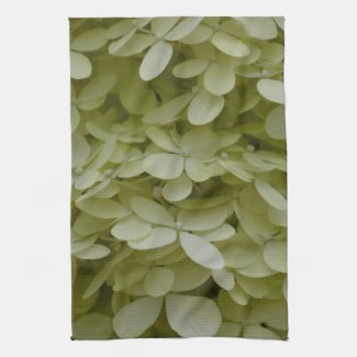 Elegant Celadon Green Hydrangea Flowers