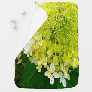 Elegant Chartreuse Green Limelight Hydrangea Baby Blanket
