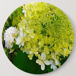 Elegant Chartreuse Green Limelight Hydrangea Button
