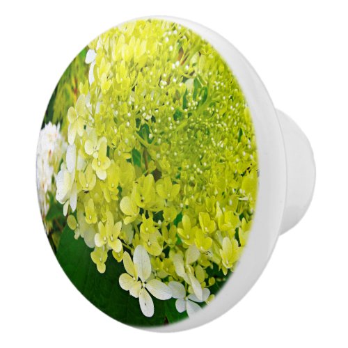 Elegant Chartreuse Green Limelight Hydrangea Ceramic Knob
