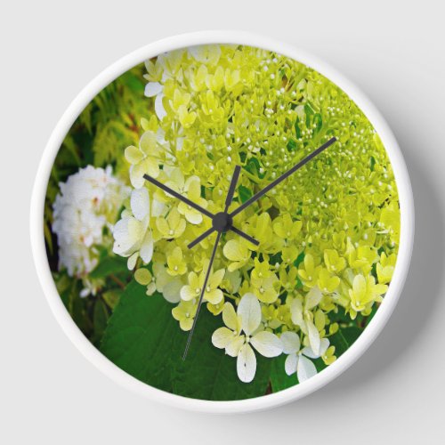 Elegant Chartreuse Green Limelight Hydrangea Clock