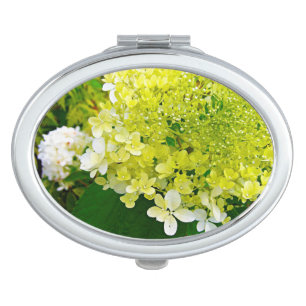 Elegant Chartreuse Green Limelight Hydrangea Compact Mirror
