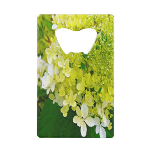 Elegant Chartreuse Green Limelight Hydrangea Credit Card Bottle Opener