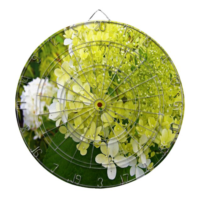 Elegant Chartreuse Green Limelight Hydrangea Dart Board (Front)