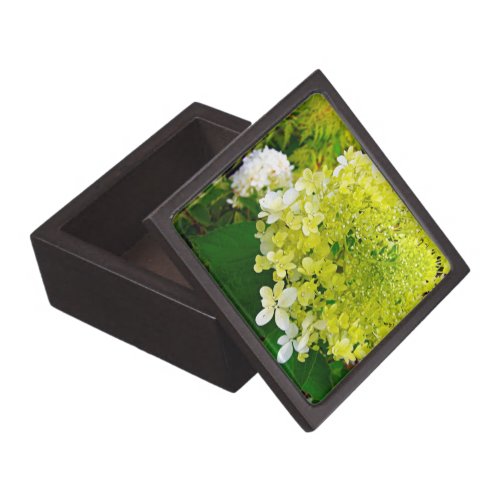 Elegant Chartreuse Green Limelight Hydrangea Gift Box