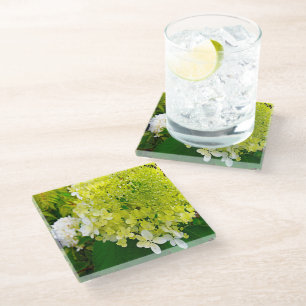 Elegant Chartreuse Green Limelight Hydrangea Glass Coaster