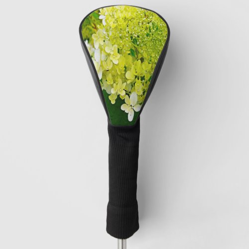 Elegant Chartreuse Green Limelight Hydrangea Golf Head Cover