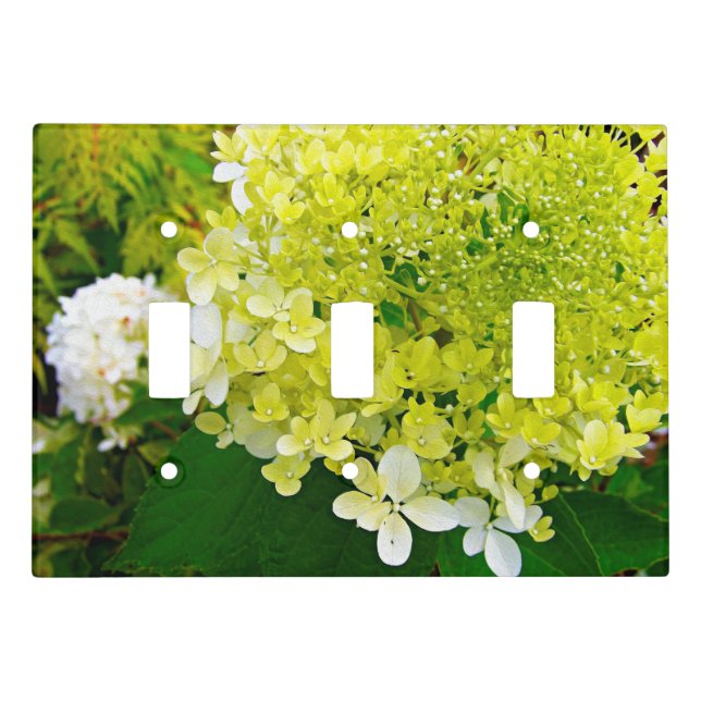 Elegant Chartreuse Green Limelight Hydrangea Light Switch Cover (Front)