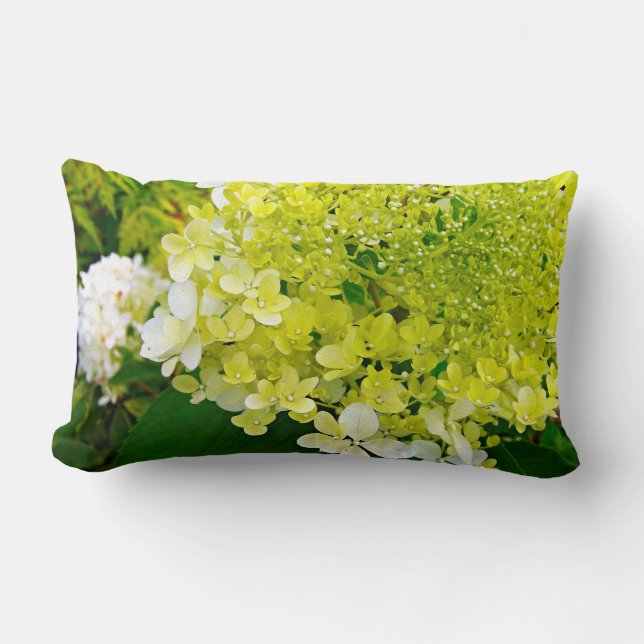 Elegant Chartreuse Green Limelight Hydrangea Lumbar Pillow (Front)