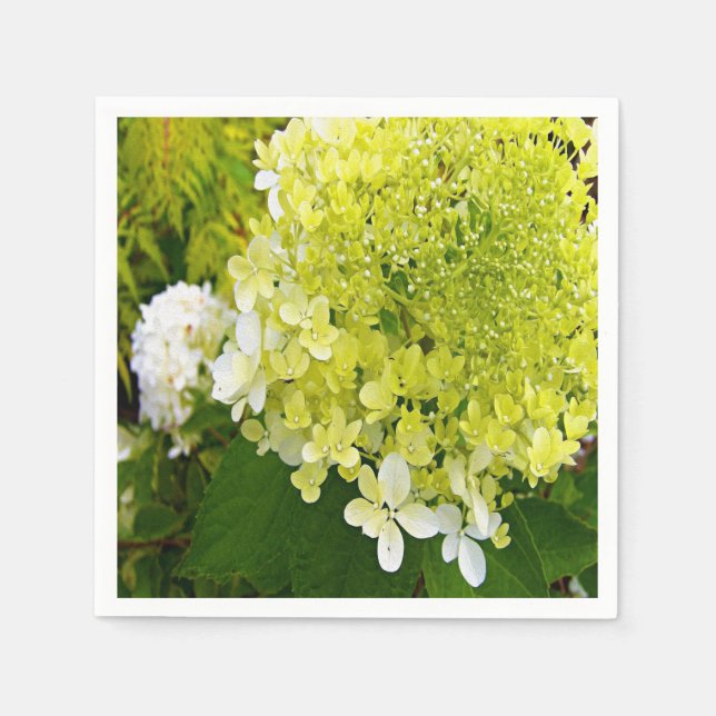 Elegant Chartreuse Green Limelight Hydrangea Napkins (Front)