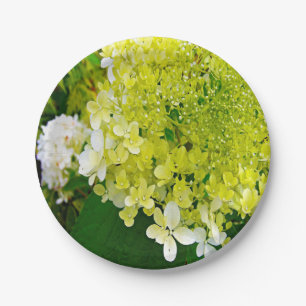 Elegant Chartreuse Green Limelight Hydrangea Paper Plates