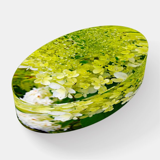 Elegant Chartreuse Green Limelight Hydrangea Paperweight (Angled)