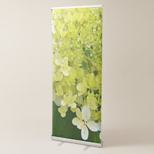 Elegant Chartreuse Green Limelight Hydrangea Retractable Banner