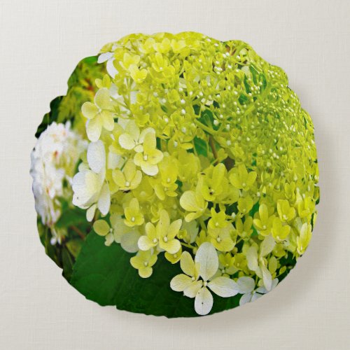 Elegant Chartreuse Green Limelight Hydrangea Round Pillow