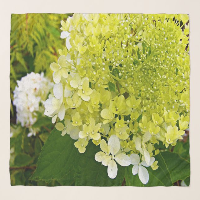 Elegant Chartreuse Green Limelight Hydrangea Scarf (Front)
