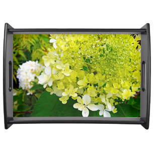 Elegant Chartreuse Green Limelight Hydrangea Serving Tray