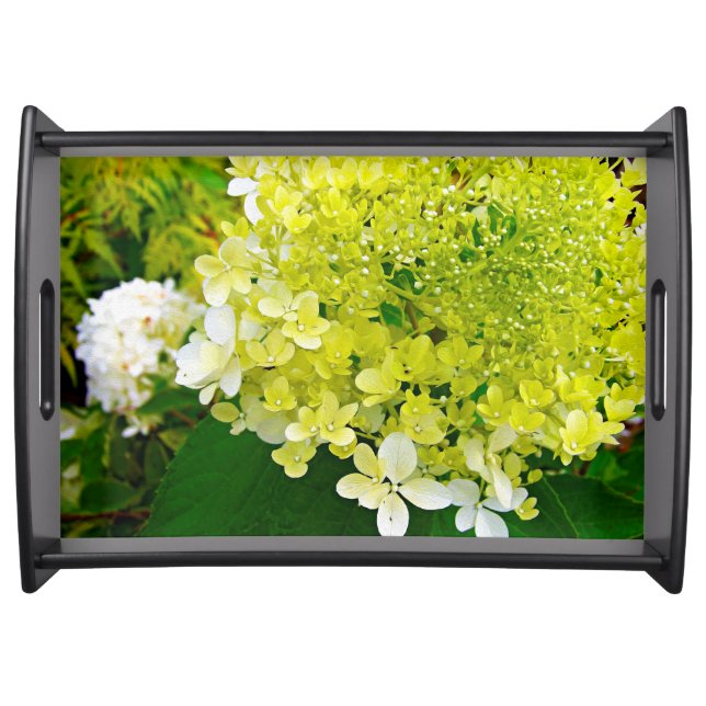 Elegant Chartreuse Green Limelight Hydrangea Serving Tray (Front)