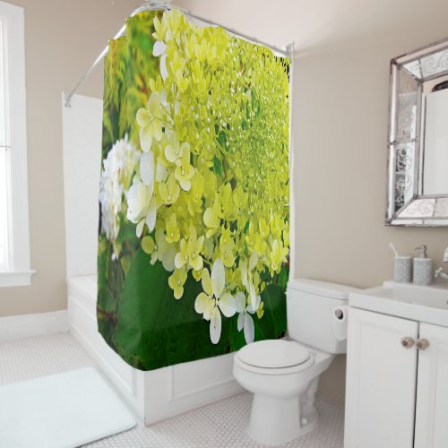Elegant Chartreuse Green Limelight Hydrangea Shower Curtain