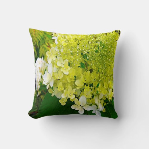 Elegant Chartreuse Green Limelight Hydrangea Throw Pillow