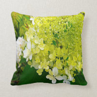 Elegant Chartreuse Green Limelight Hydrangea