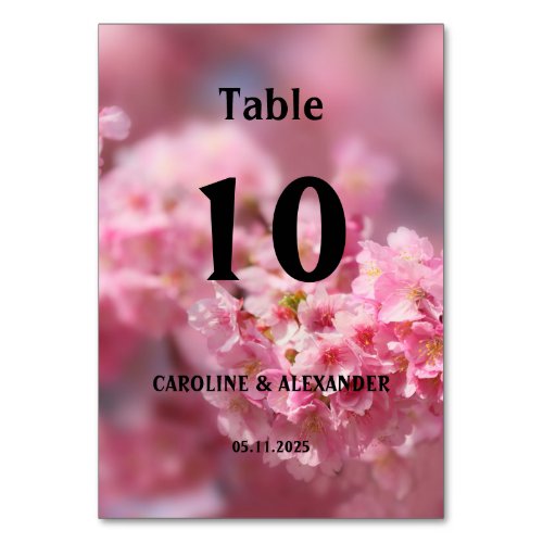 Elegant Cherry Blossom Floral Photography Wedding Table Number