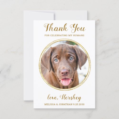 Elegant Chic Gold Custom Dog Photo Pet Wedding  Thank You Card