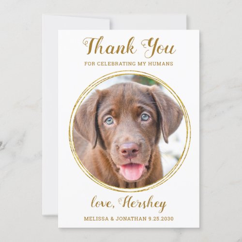 Elegant Chic Gold Custom Pet Photo Dog Wedding  Thank You Card