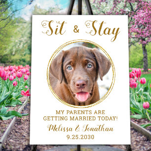 Elegant Chic Gold Dog Photo Welcome Pet Wedding Foam Board