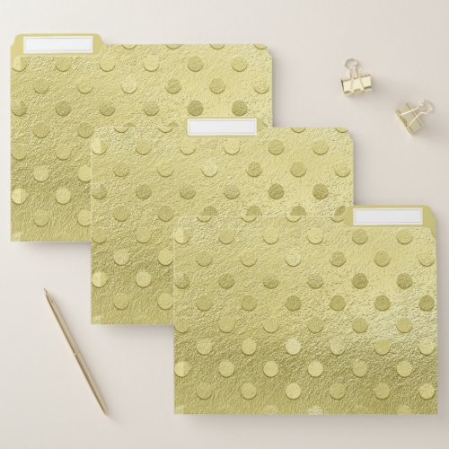 Elegant Chic Gold Polka Dot Decorative Pattern File Folder