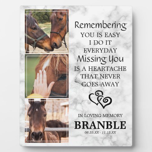 Elegant Chic Horse Memorial Photo Collage Plaque