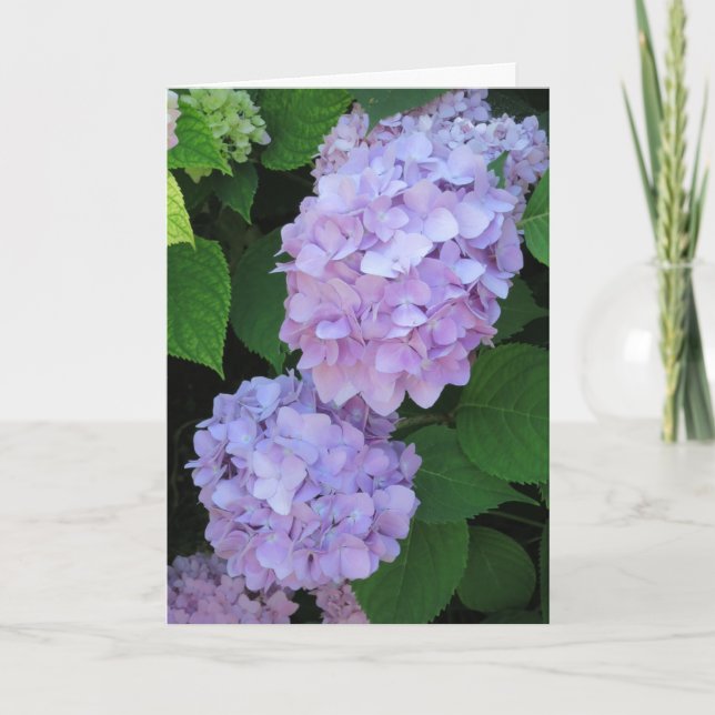 Elegant Chic Purple Hydrangeas Photo Sympathy Card (Front)