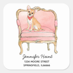 Elegant Chihuahua dog address Square Sticker