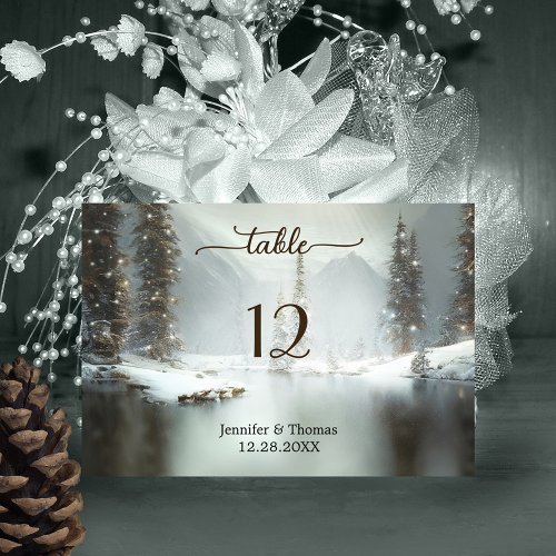 Elegant Christmas Winter Table Number Card