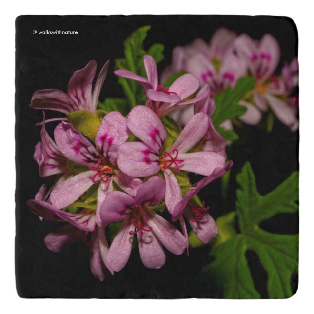 Elegant Citronella Flowers Trivet (Front)