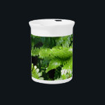 Elegant classic forest woodland Spring Green Ferns Beverage Pitcher<br><div class="desc">A close-up image of spring green ferns illuminated by dappled light through the forest’s canopy.</div>
